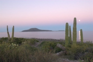  科罗纳多斯群岛 